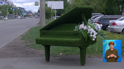 Цветочный экспонат появился на остановке улицы Комарова