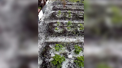 В Миассе сняли на видео первый в этом году град