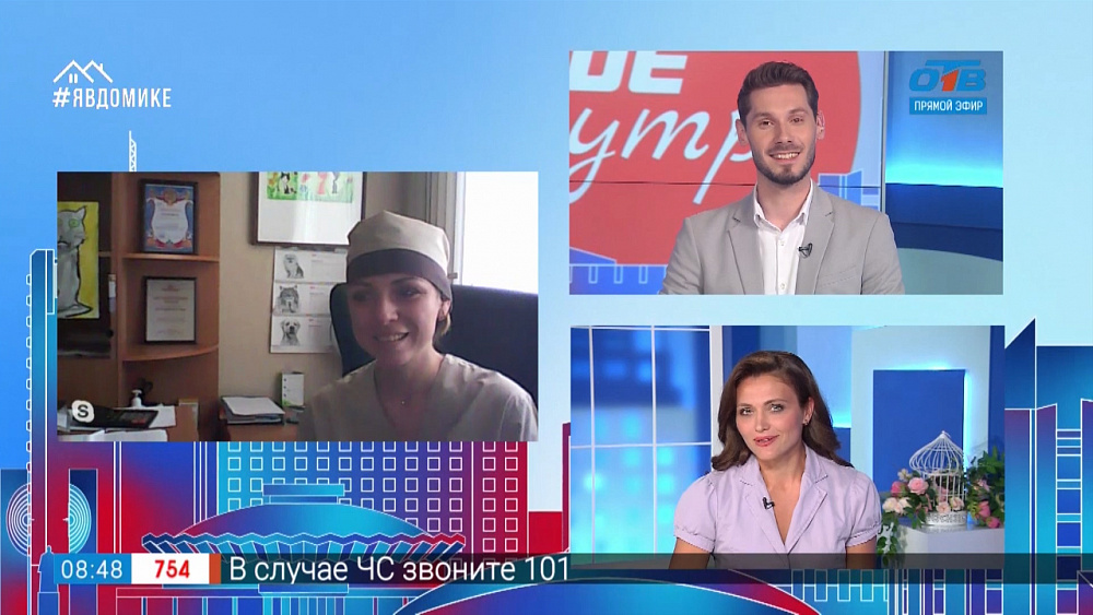 Гость на связи — помощь для четвероногих