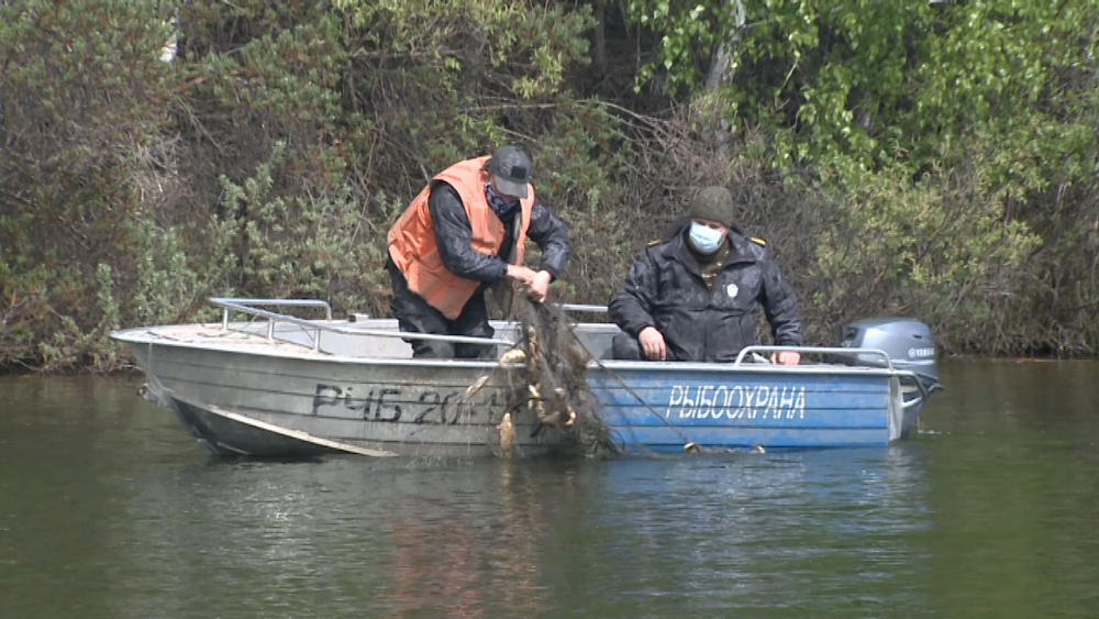 В пруду Миасса найдены браконьерские сети