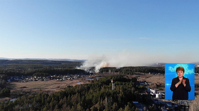 В регионе стало меньше лесных пожаров