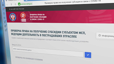 Областная налоговая служба призывает предпринимателей сдать документы на федеральную субсидию