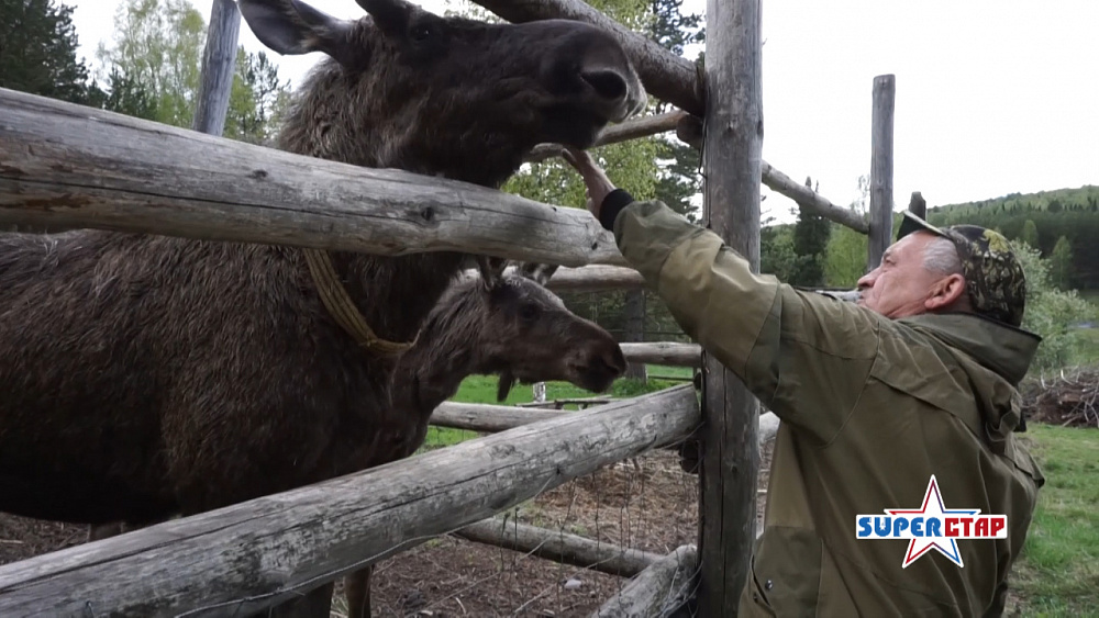 Суперстар — Герои на карантине 2
