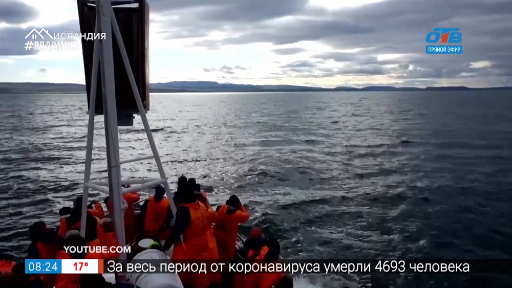 Путешествие в квартире — где живут киты?