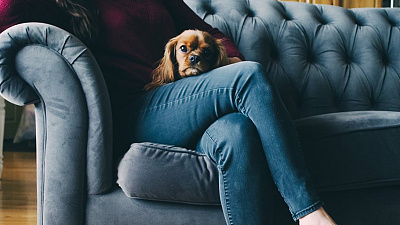 В Челябинске вырос спрос на покупку диванов