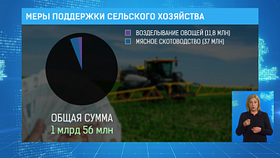 Меры поддержки сельского хозяйства
