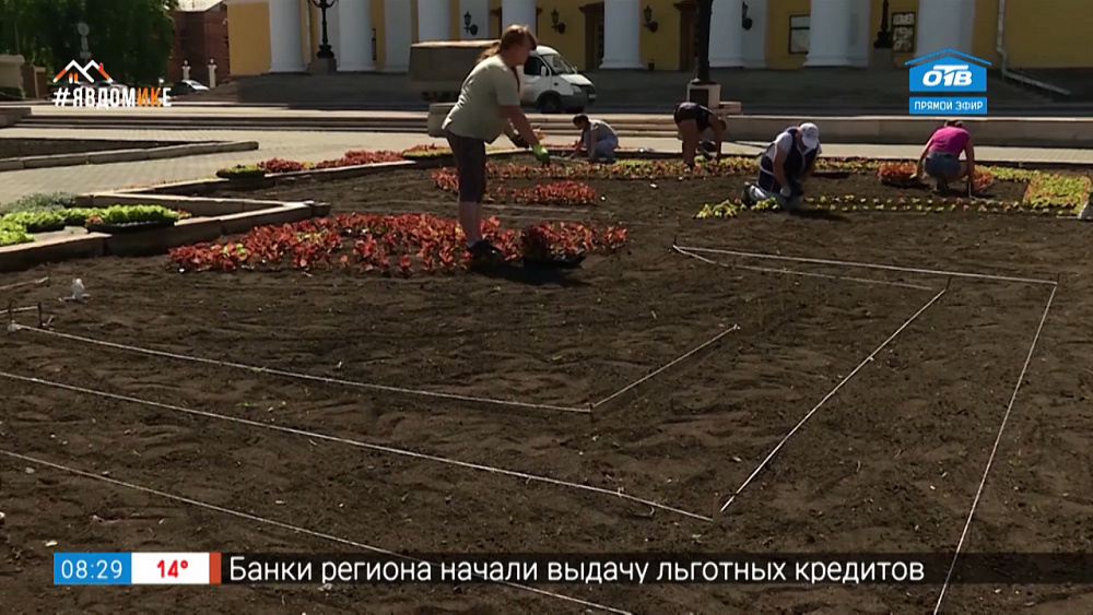 Клумбы у оперного театра — цветы в Челябинске