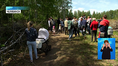 В лесном массиве Паркового построят дорогу