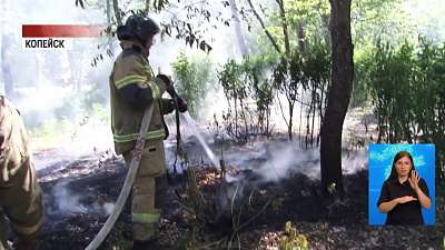 Обзор происшествий от 08.06.2020