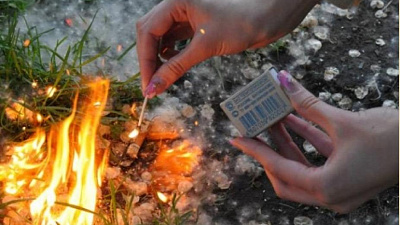 В Челябинске из-за тополиного пуха горят могилы и автомобили