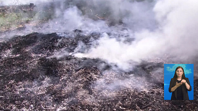 Обзор происшествий от 09.06.2020