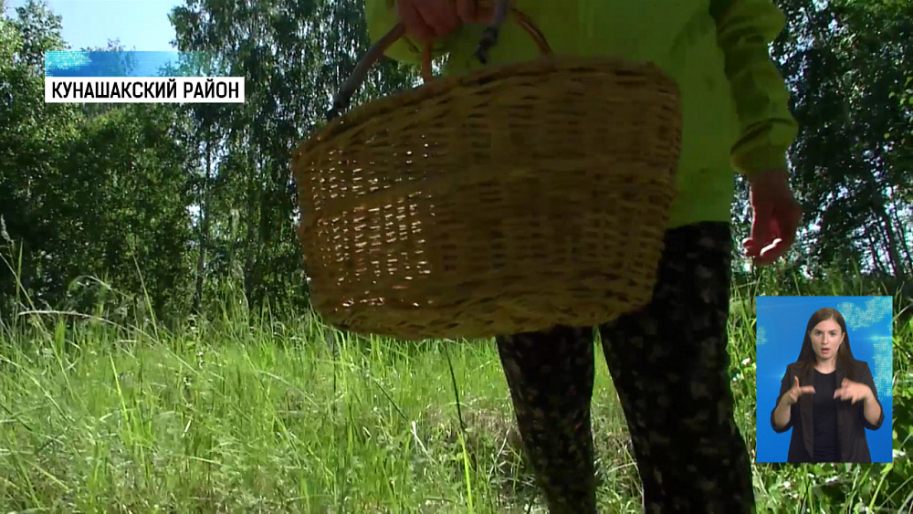 Грибники открыли весенний сезон