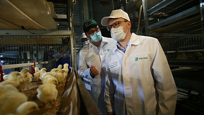 Агрохолдинг «Ситно» развивает новые направления