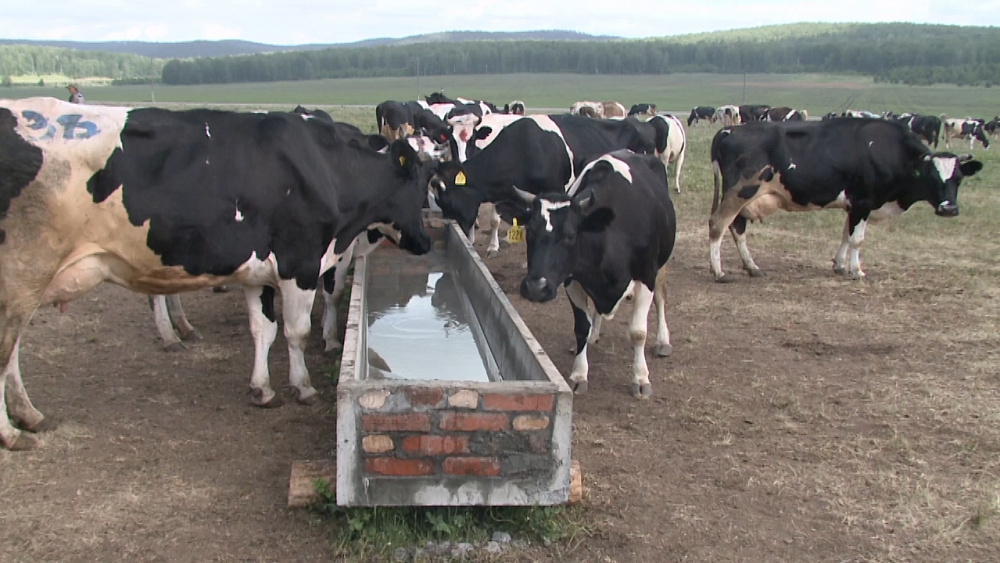 «Черновской» получил 26 миллионов рублей господдержки