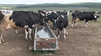 «Черновской» получил 26 миллионов рублей господдержки