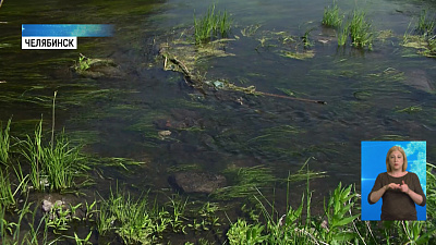 Очистку Миасса начнут в середине июня