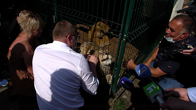 Алексей Текслер посетил приют для диких животных и птиц «Спаси меня»