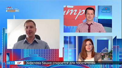 Гость на связи — вырубка деревьев