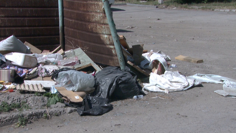 Вывоз мусора на контроле у депутатов Миасса