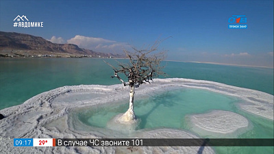 Путешествие в квартире — солёные водоёмы