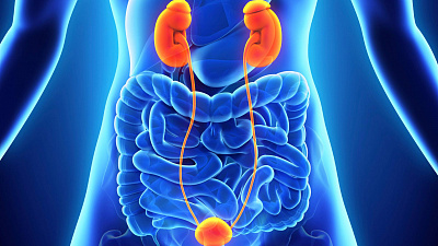 Методы обследования урологических болезней у женщин