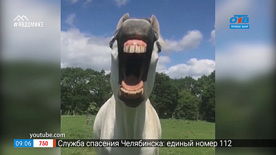 Добавь обороты — врёт, как сивый мерин