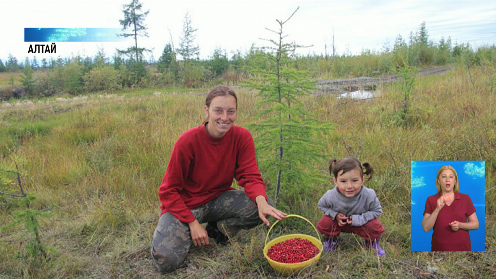 Художница из Челябинска переехала на Алтай
