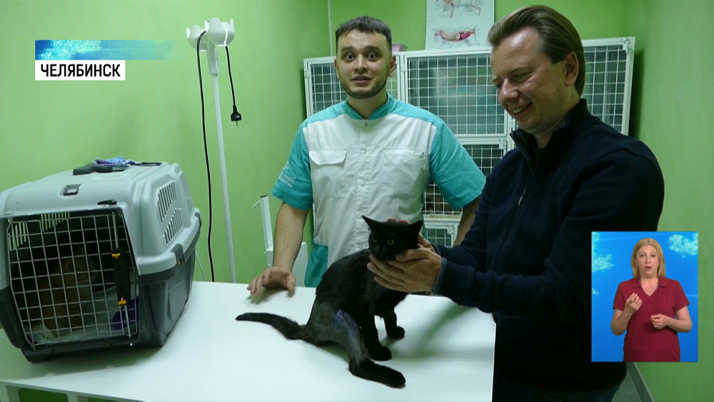 Зоозащитники поддержали «Зелёные поправки»