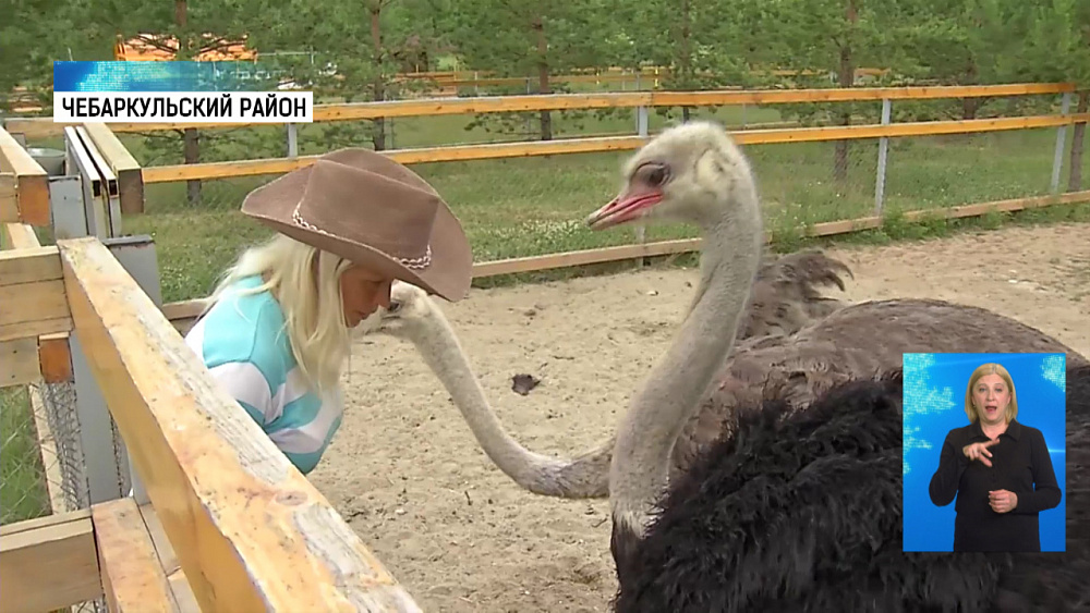 Южноуральская семья строит сафари-парк