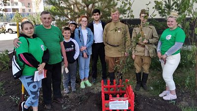 75 яблонь высадили волонтеры в «Саду памяти»