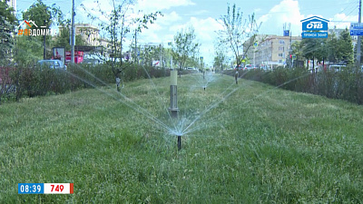 Будет красиво — «полянка» на проспекте Ленина