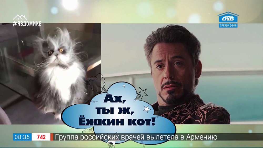 Добавь обороты! — «Ёшкин кот»