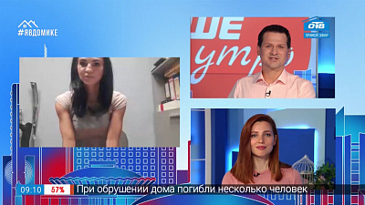 Гость на связи — метки на бродячих животных