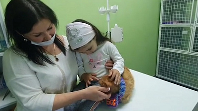 Кот по кличке Боб нашёл себе хозяев: видео со счастливым животным