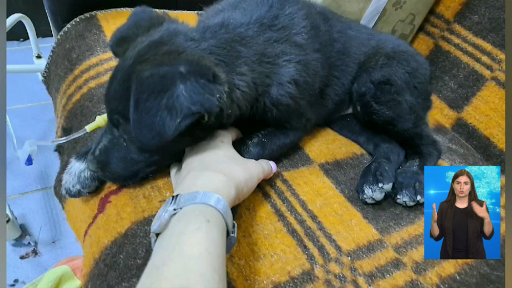 Обзор происшествий от 24.06.2020