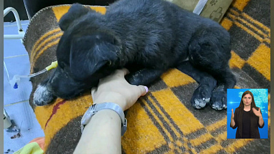 Обзор происшествий от 24.06.2020