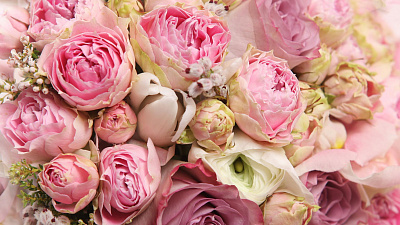 Незабываемая доставка цветов в Челябинске по разным случаям от BFLORIST.RU