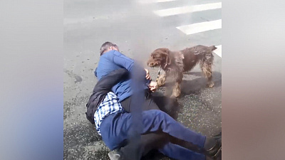 Пешеход VS водитель маршрутки: видео драки