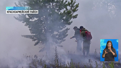 Лесники проверяют поля фермеров