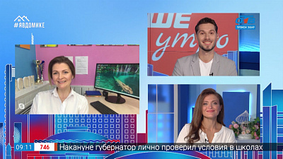 Гость на связи — по стрижкам домашних питомцев