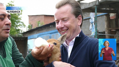 Маленькой косуле выбрали имя в Instagram