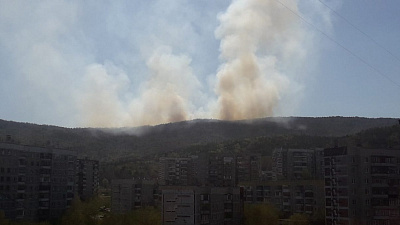 Пожар в Ильменском заповеднике перерос в уголовное дело