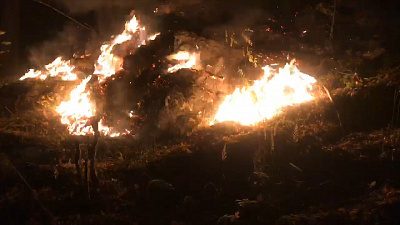 Лесной пожар сплотил отдыхающих на берегу Тургояка