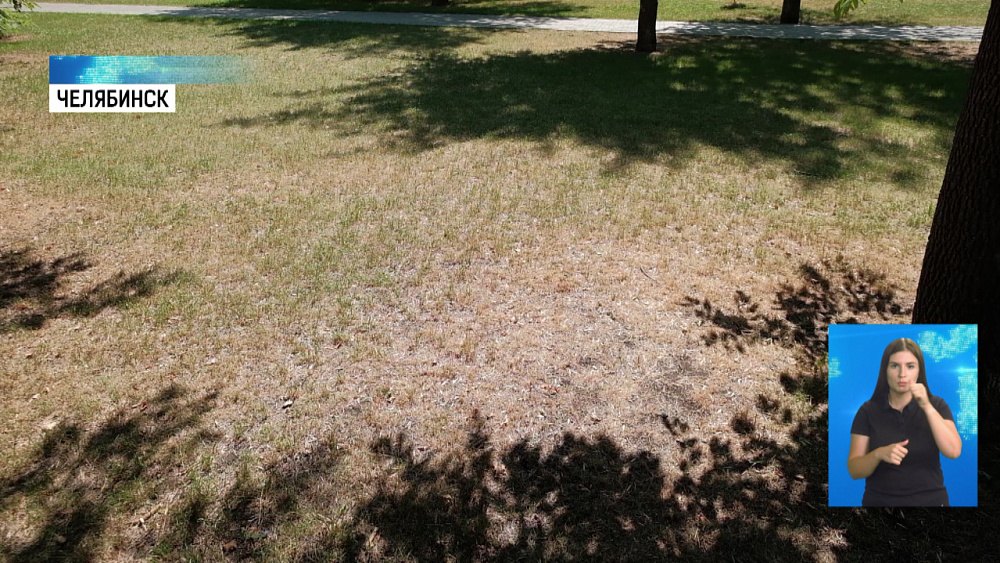 На «Алом Поле» пожелтела трава