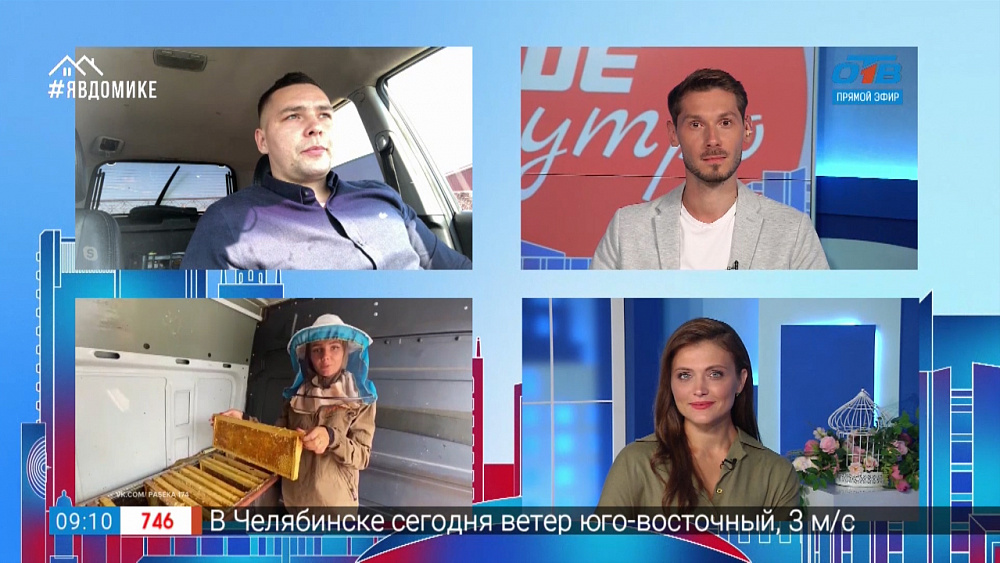 Гость на связи — где лучший мёд