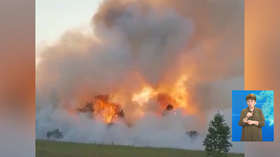 Обзор происшествий от 16.07.2020