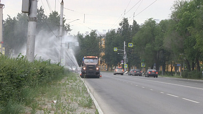 В Миассе спасают газоны от жары