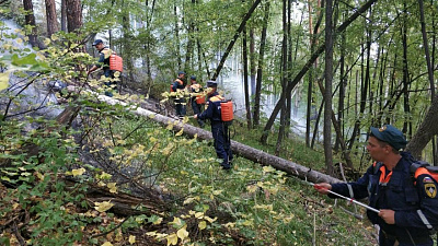 Более 100 гектаров леса пострадало от пожаров в Тургоякском лесничестве 