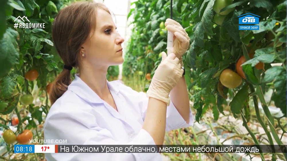 Кем быть? — Агроном