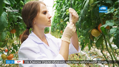 Кем быть? — Агроном